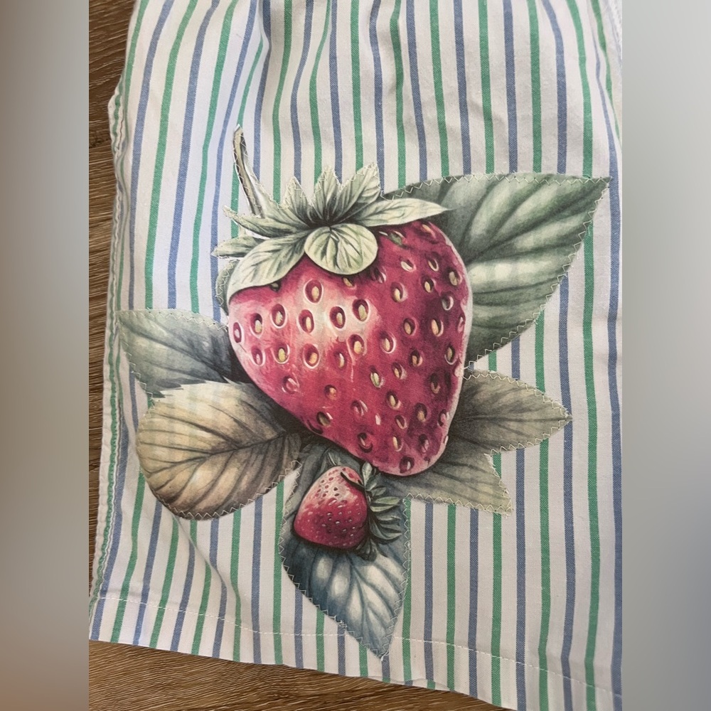 American Eagle Outfitters Striped Boxer Shorts with strawberry applique sz SP - Picture 2 of 4